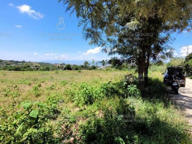 Terreno en venta en San Juan Bautista Guelache, Oaxaca