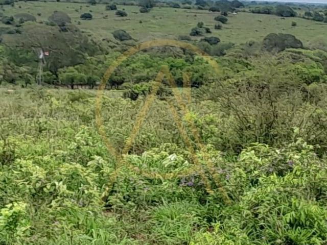 Terreno en renta en Pánuco, Veracruz
