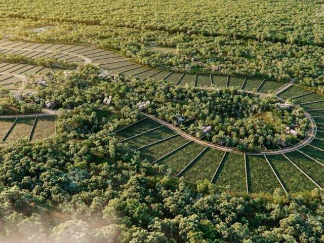 Terreno en venta en Yaxcabá, Yucatán