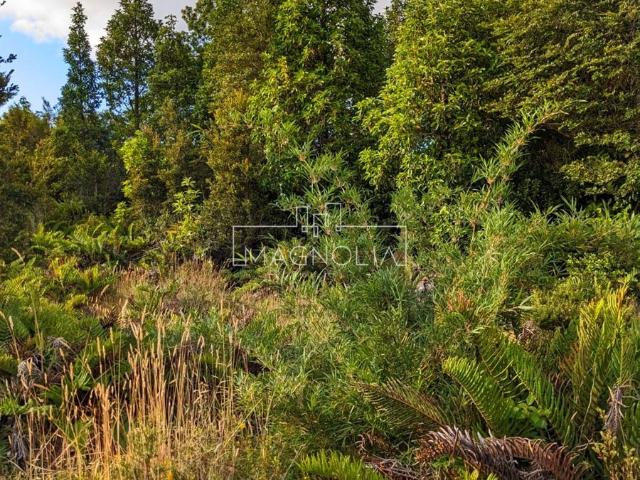 Terreno en venta en Alerce, Los Lagos