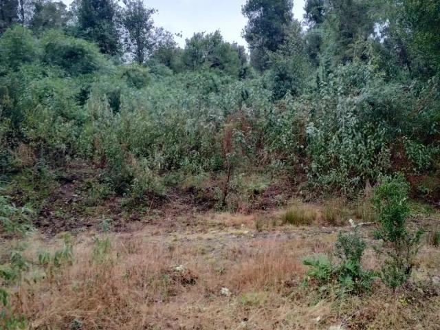 Terreno en venta en Boca Bío-bío, Los Lagos