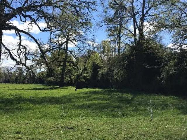 Terreno en venta en Desagüe Rupanco, Puyehue