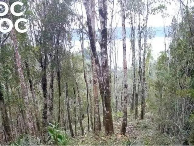 Terreno en venta en Quemchi, Los Lagos