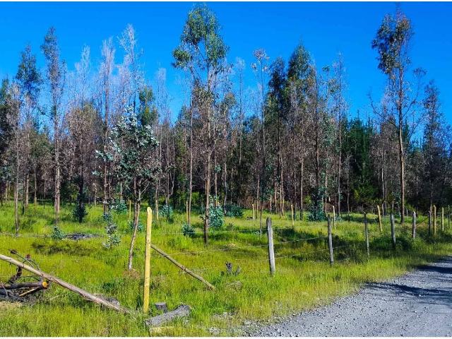 Terreno en venta en Quillón, Provincia de Diguillín