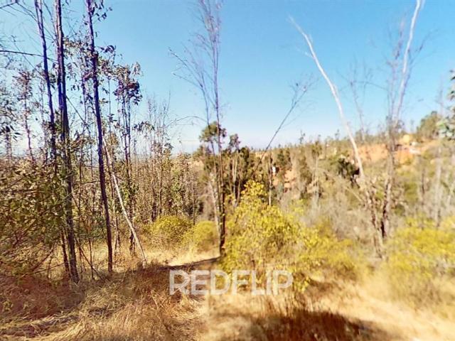 Terreno en Limache