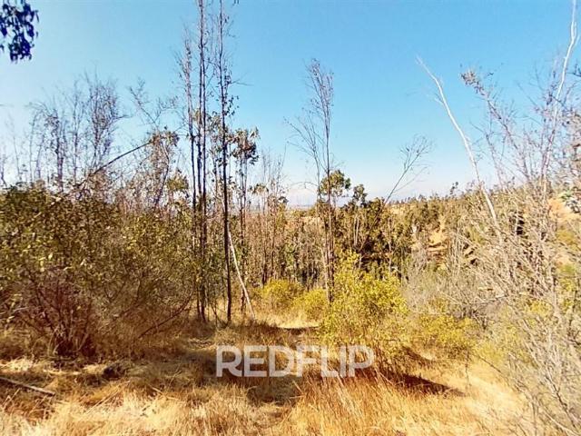 Terreno en Limache