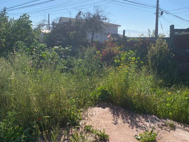 Terreno en Quilpué