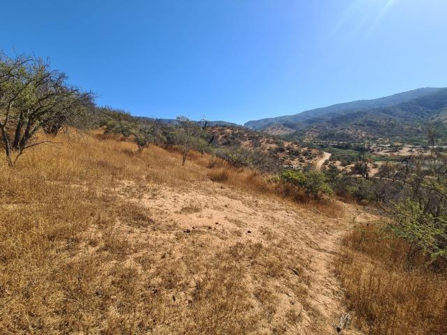Terreno en Quilpué