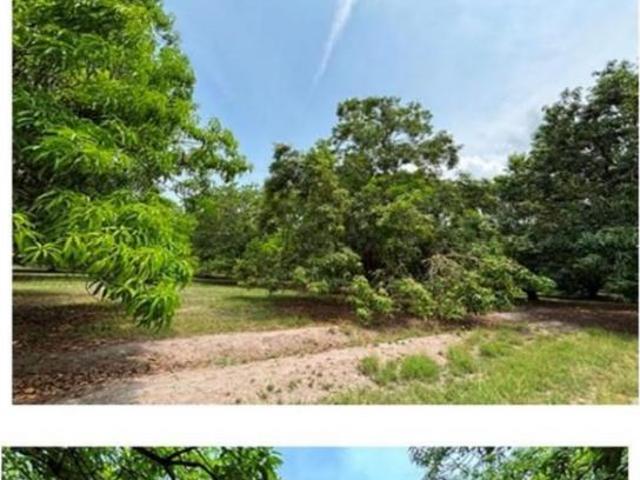 Terreno en venta en Mazatán, Chiapas