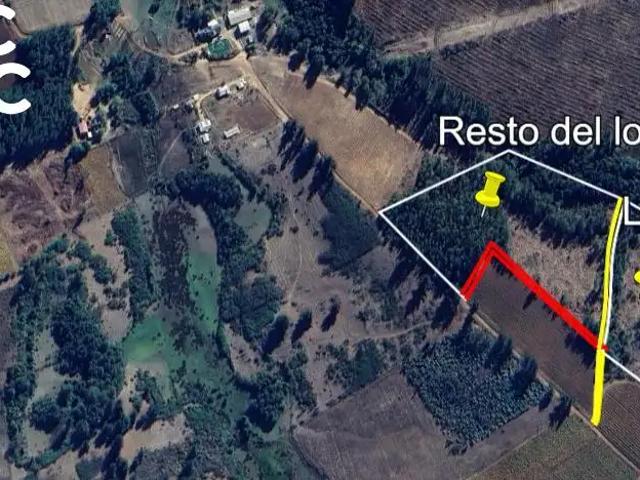 Terreno en venta en Ñipas, Ránquil