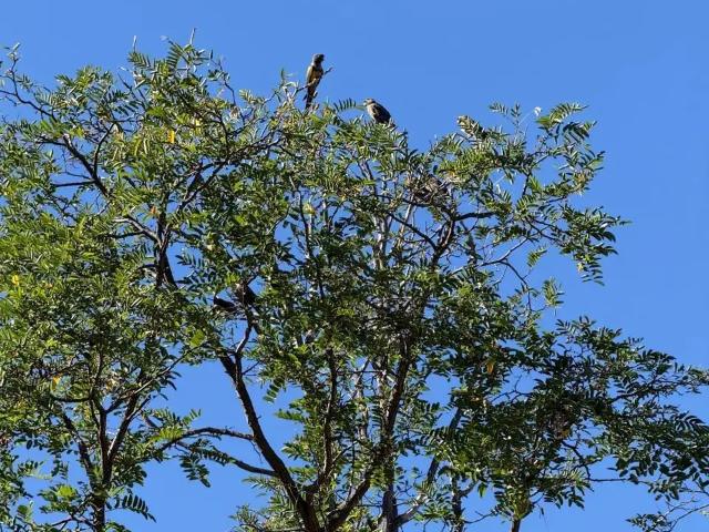 Terreno en venta en Rengo, Libertador General Bernardo O'higgins