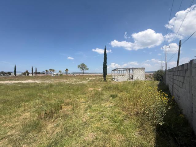 Local Comercial en renta en Mineral De La Reforma, Hidalgo