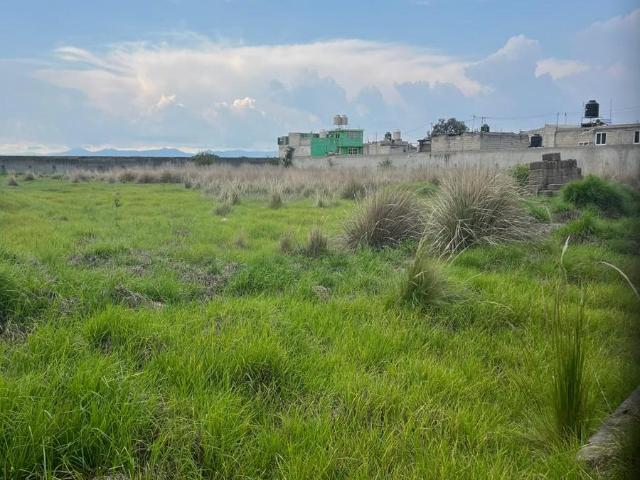 Terreno en renta en Calimaya, Estado de México