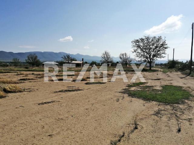 Terreno en renta en Saltillo, Coahuila