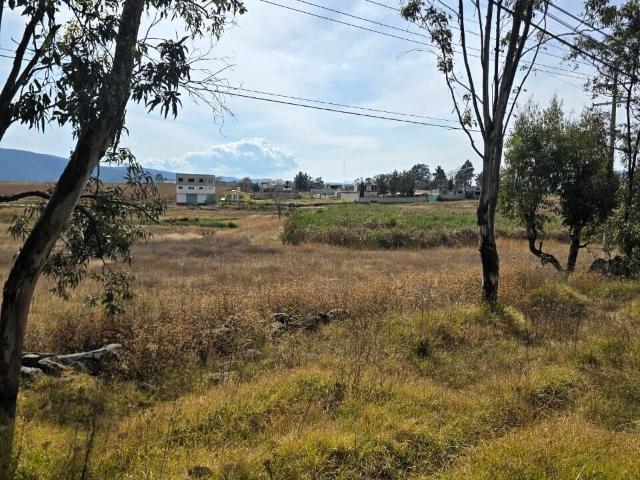Terreno en renta en Jilotepec, Estado de México