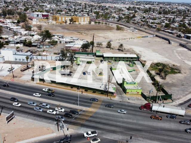 Terreno en renta en Mexicali, Baja California