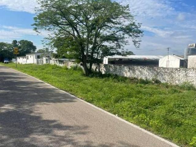 Terreno en renta en Kanasín
