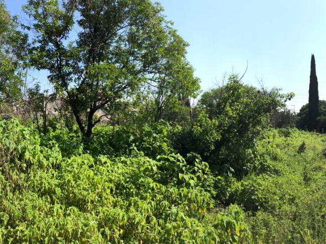 Terreno en renta en Tláhuac, Ciudad de México
