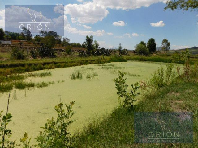 Terreno en renta en Soyaniquilpan De Juárez, Estado de México