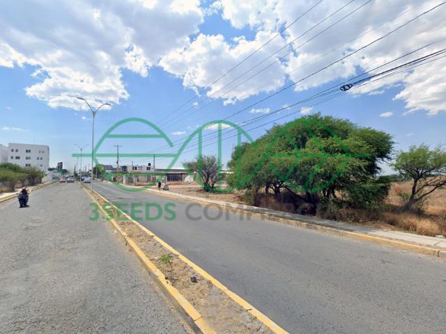 Terreno en renta en San Juan Del Río, Querétaro