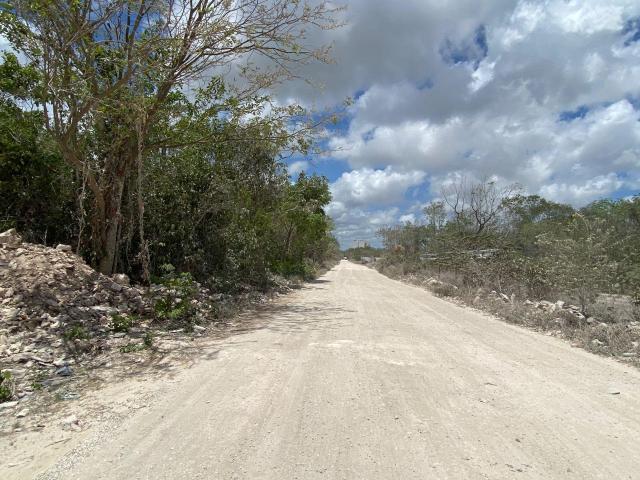 Terreno en renta en Benito Juárez, Quintana Roo