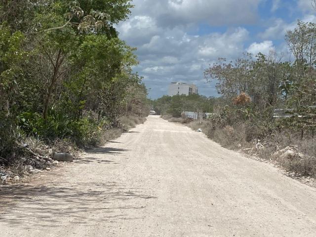 Terreno en renta en Benito Juárez, Quintana Roo