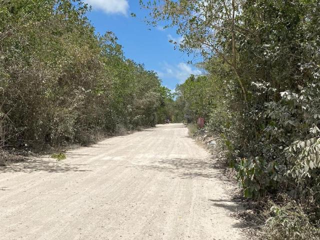Terreno en renta en Benito Juárez, Quintana Roo