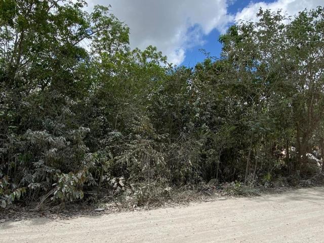Terreno en renta en Benito Juárez, Quintana Roo