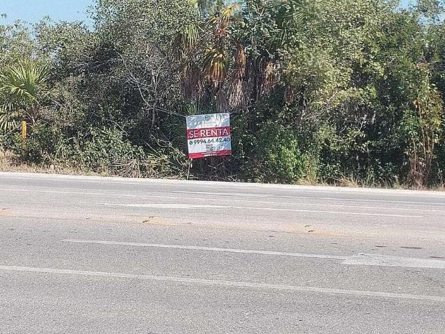 Terreno en renta en Chicxulub Pueblo, Yucatán