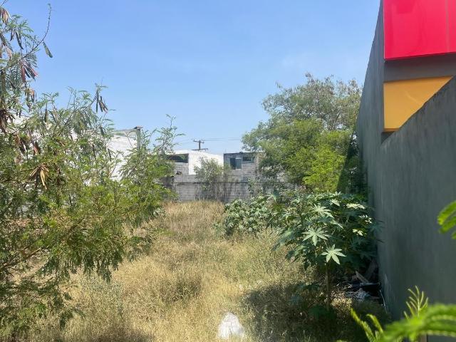 Terreno en renta en Dr. Coss, Nuevo León