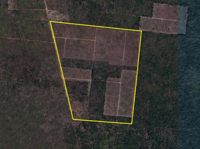 Terreno en renta en Dzemul, Yucatán