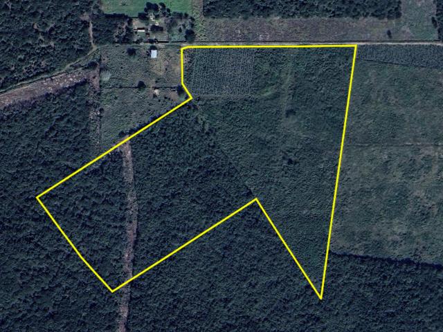 Terreno en renta en Dzemul, Yucatán