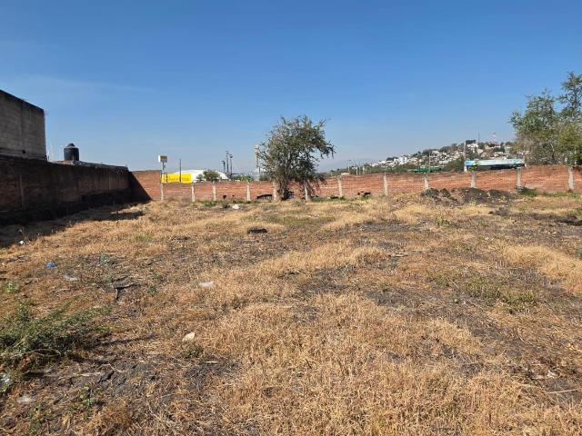 Terreno en renta en Morelos
