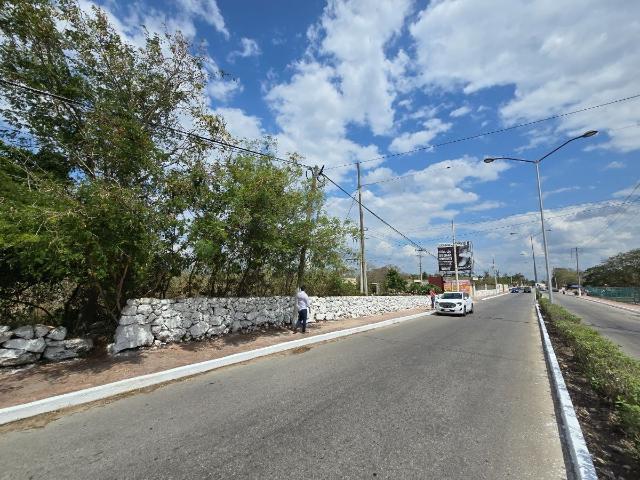 Terreno en renta en Izamal, Yucatán