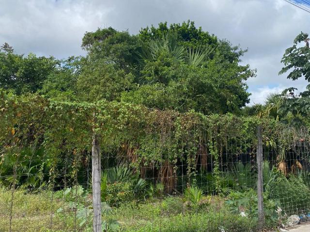 Terreno en renta en Riviera Maya, Quintana Roo