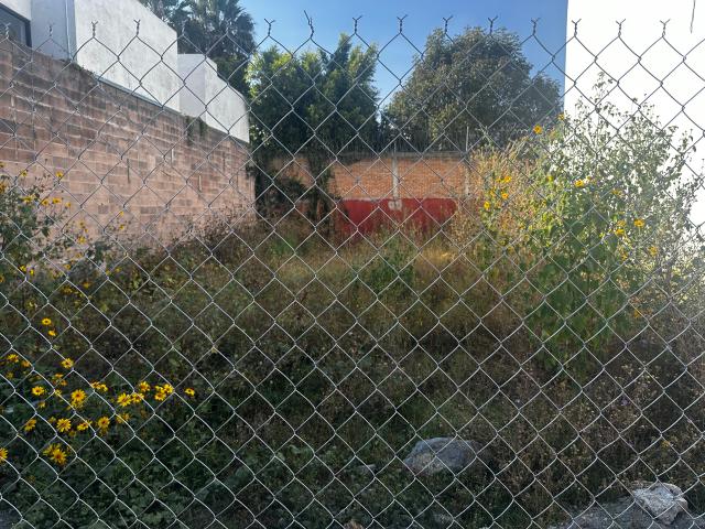 Terreno en renta en San Andrés Cholula, Puebla