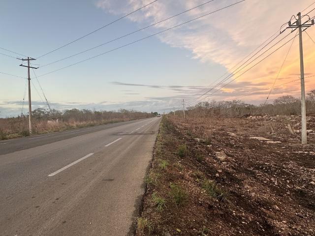 Terreno en renta en Motul, Yucatán