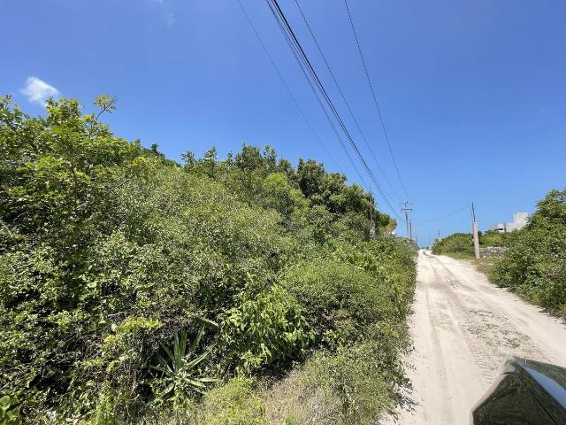 Terreno en renta en Dzemul, Yucatán