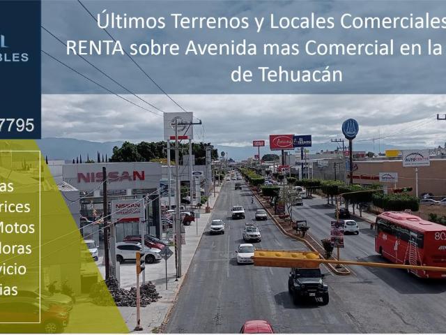 Local Comercial en renta en Tehuacán, Puebla