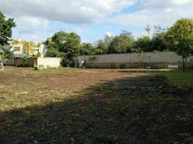 Terreno en renta en Pantepec, Yucatán