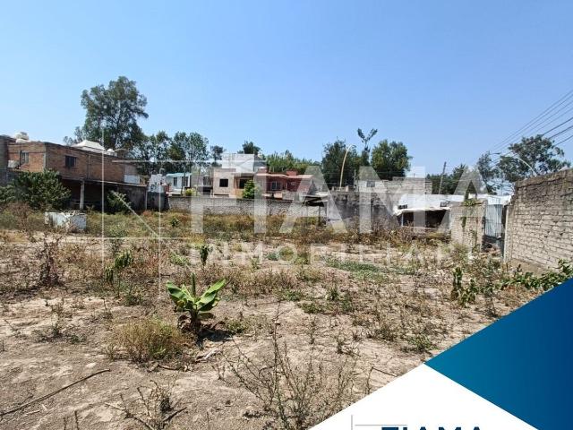 Terreno en renta en Tepic, Nayarit