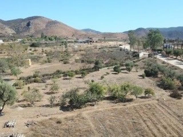 Terreno en renta en Ensenada, Baja California