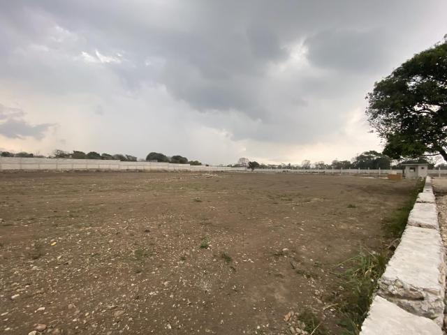 Locales Comerciales en renta en Amatlán De Los Reyes