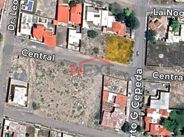 Terreno en renta en Arteaga, Coahuila
