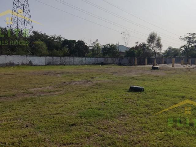 Terreno en renta en Pánuco, Veracruz