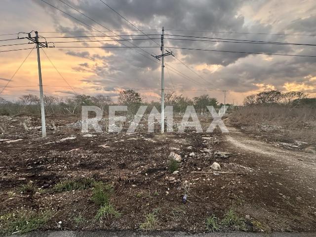 Terreno en renta en Motul, Yucatán