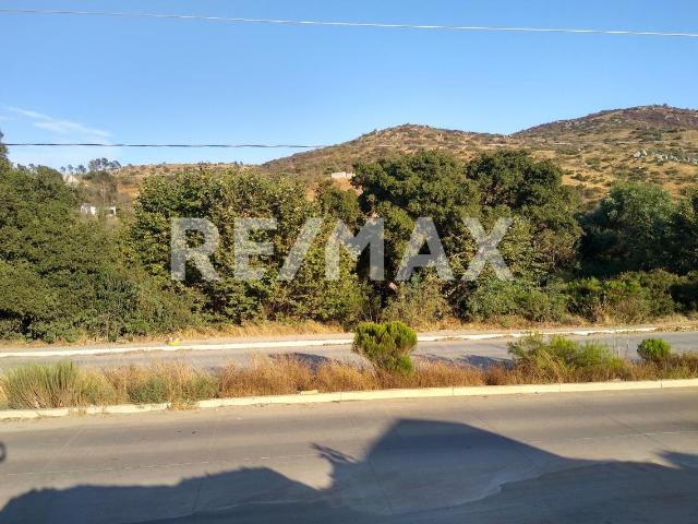 Terreno en renta en Ensenada, Baja California
