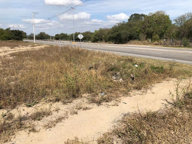Terreno en renta en Altamira, Tamaulipas