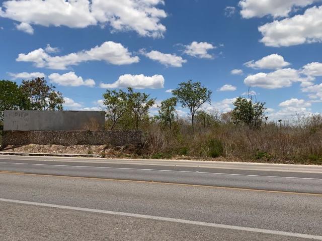 Terreno en renta en Conkal, Yucatán