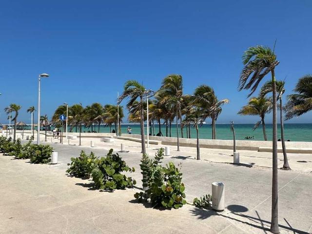 Terreno en renta en Progreso, Yucatán